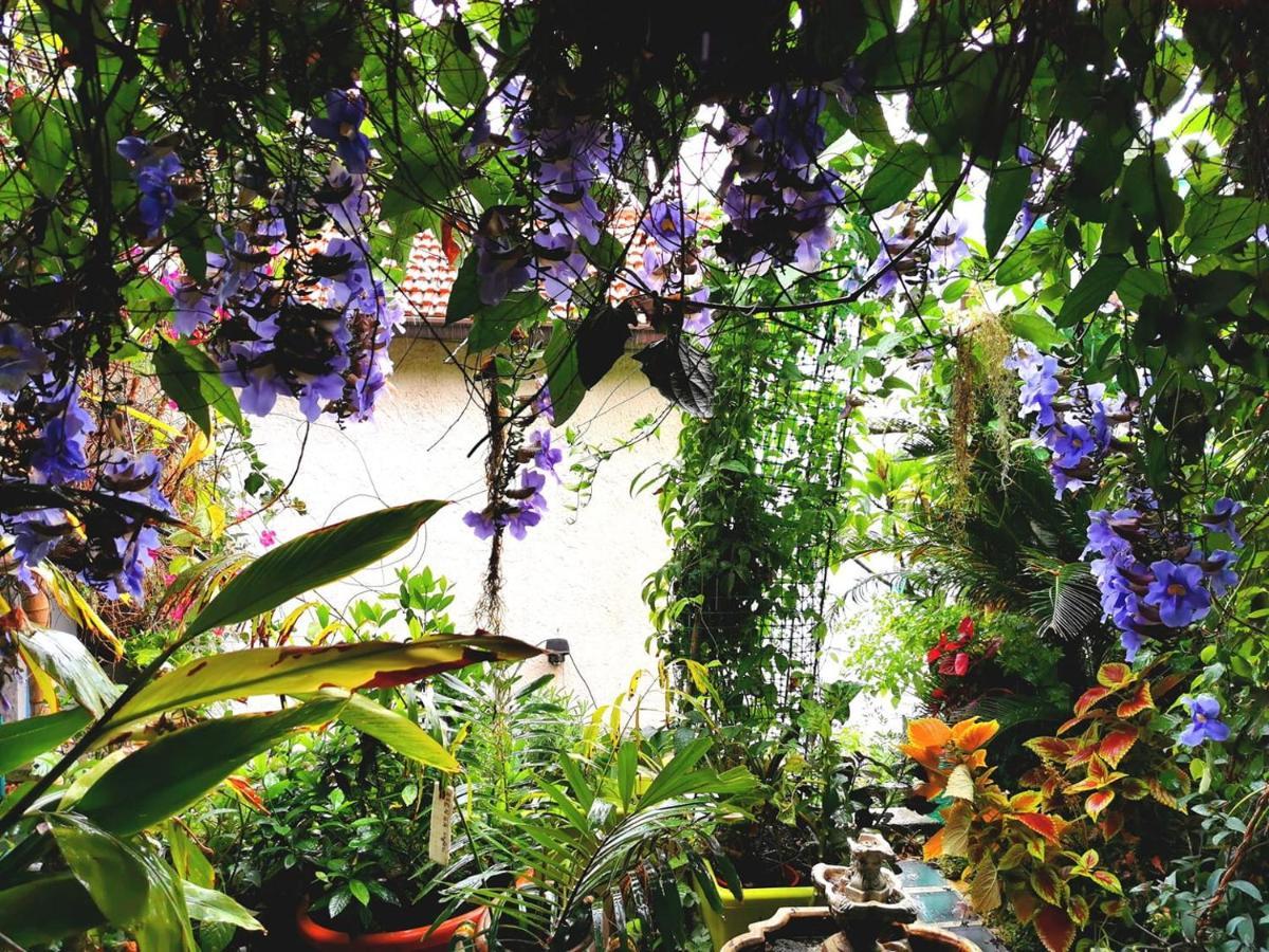 Romantic Casa Lorenzina Affittacamere Ventimiglia Exterior foto