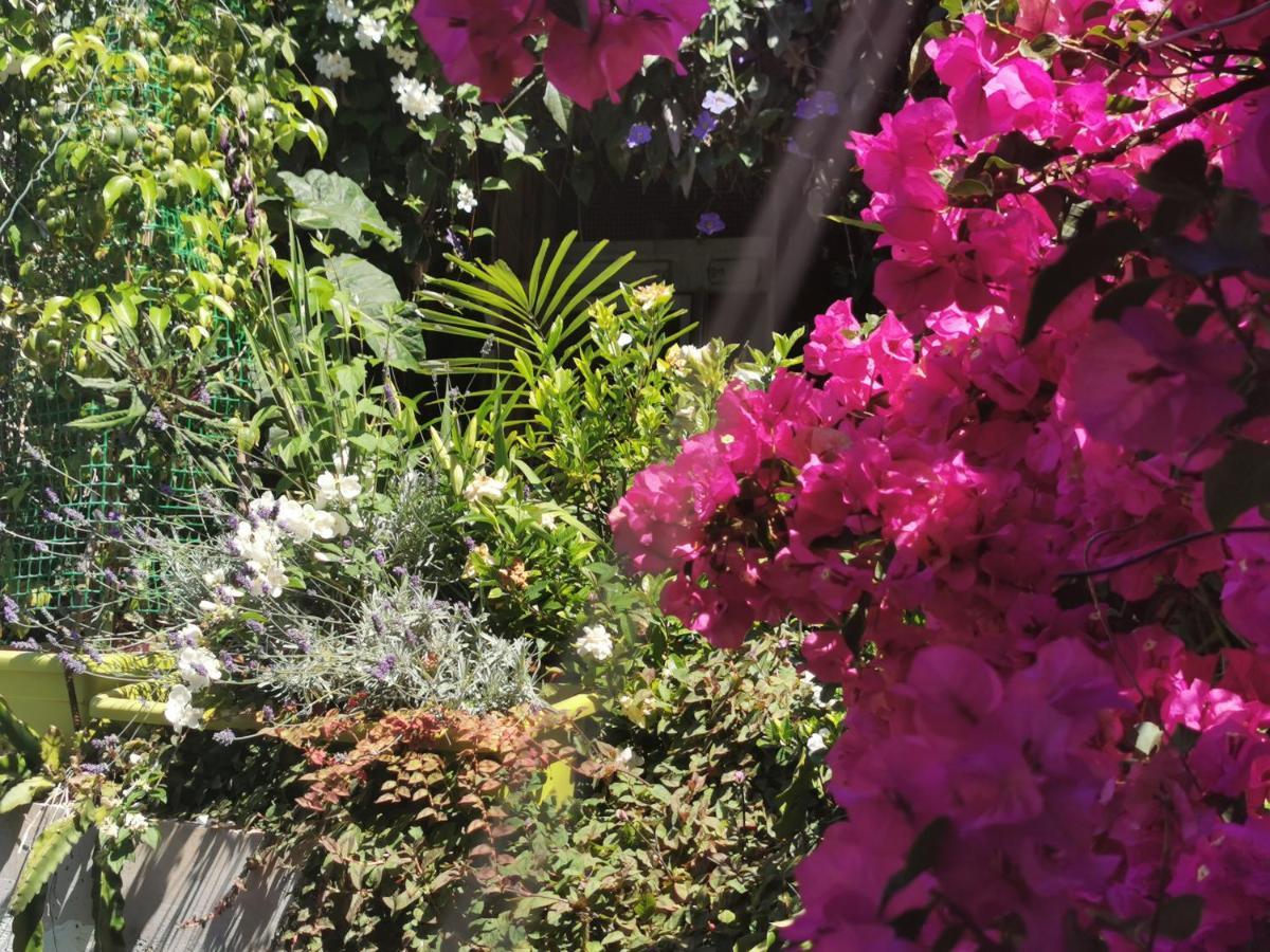 Romantic Casa Lorenzina Affittacamere Ventimiglia Exterior foto