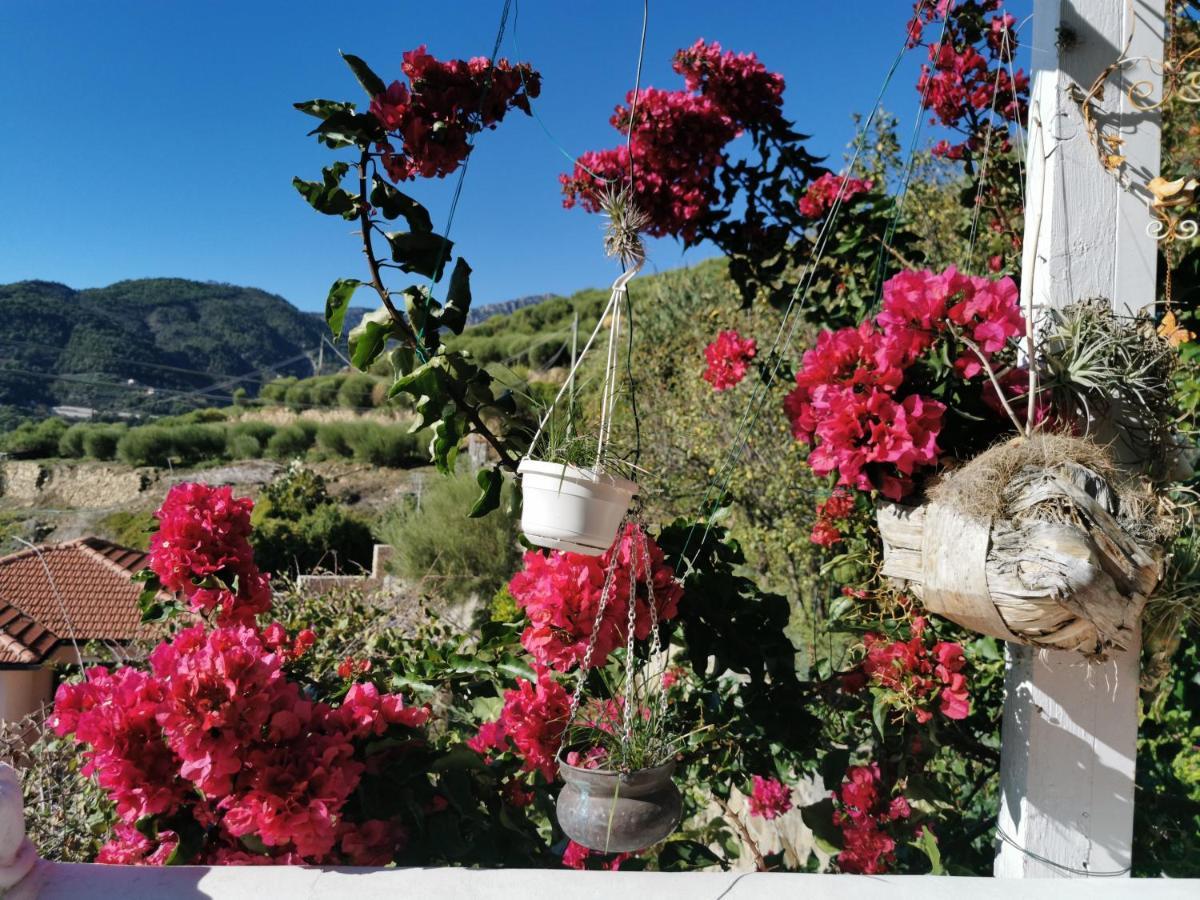 Romantic Casa Lorenzina Affittacamere Ventimiglia Exterior foto